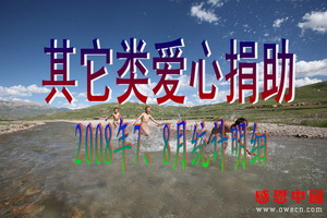 七、八月份其它类爱心捐助统计明细（2008年）