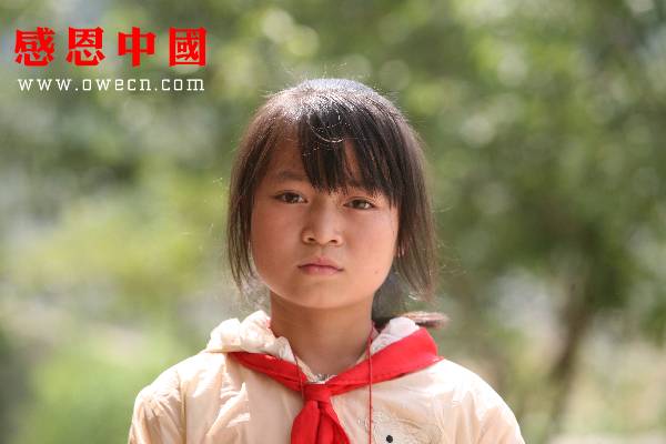 囲碁は人生のすべてYouTube動画>1本 ->画像>333枚 
