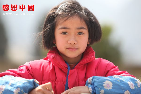 囲碁は人生のすべてYouTube動画>1本 ->画像>333枚 